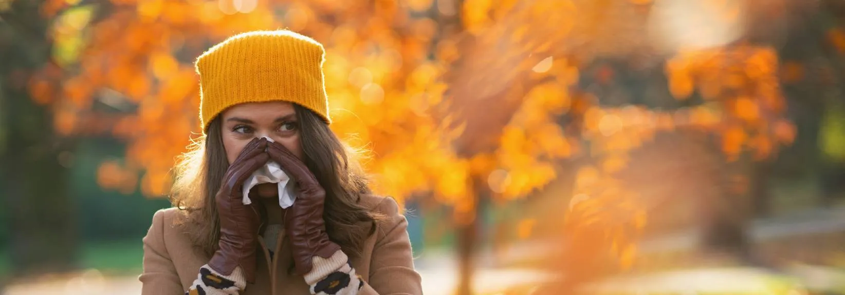 The Service Experts Heating, Air Conditioning & Plumbing Guide to Fall Allergy Season blog image